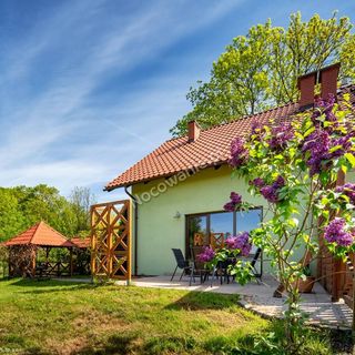 Apartamenty Pod Siódemkami Kudowa Zdrój (3)