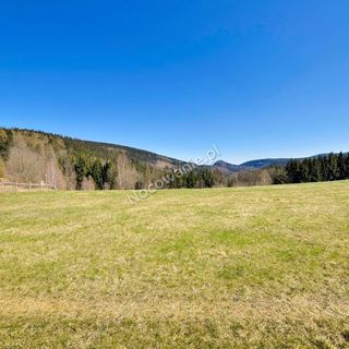 Agroturystyka Koniec Świata Leśna (2)