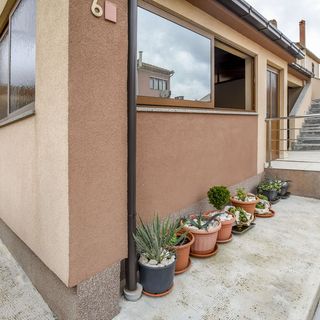 Apartments Ornella Pasman (3)