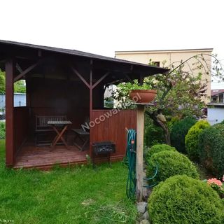 Jaga na Skarpie Międzyzdroje (4)