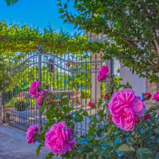 Apartments Mira Novi Vinodolski (3)