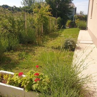 House Garden House Kastel Stafilic (5)