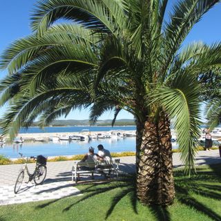 Apartments Vongola Biograd (4)