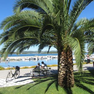 Apartments Vongola Biograd (4)