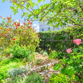 Apartments Rada i Stanislav Barbat (5)