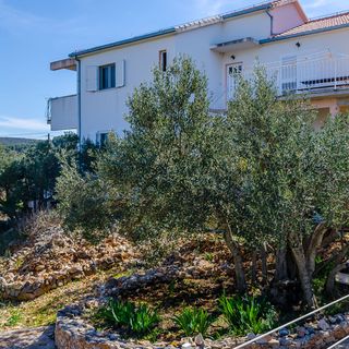 Apartments Stara Maslina Slatine (3)