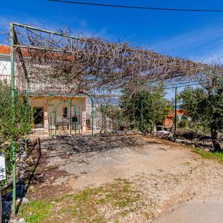 Apartments Stara Maslina Slatine (4)