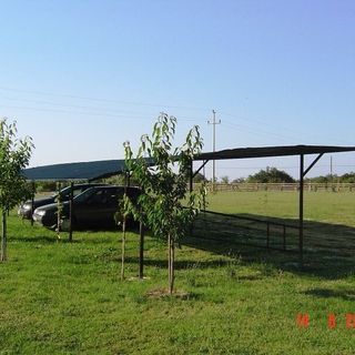 Casa Novi Krnica (3)