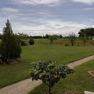 Casa Rossa Liznjan (4)