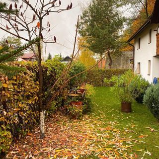 Cabana Tudor Avrig (4)