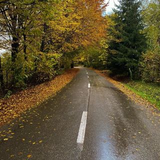 Cabana Tudor Avrig (5)