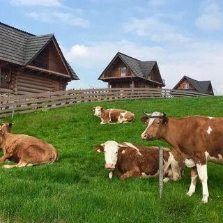 Osada Koniówka domek B (5)