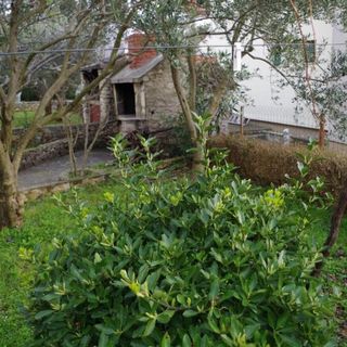 Apartments Apartmani Marin Jadrija (5)