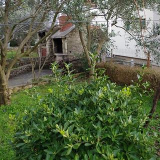 Apartments Apartmani Marin Jadrija (4)