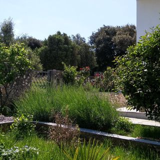 Apartment Nirvana Razanj (2)