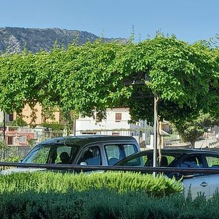 Apartment Buncuga Jelsa (5)