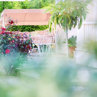 Apartments Kiwi Trogir (2)