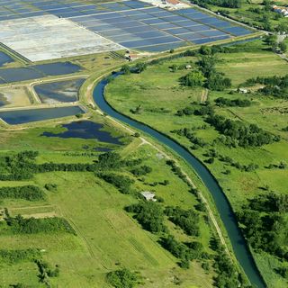 Apartments Mirko i Jela Nin (5)