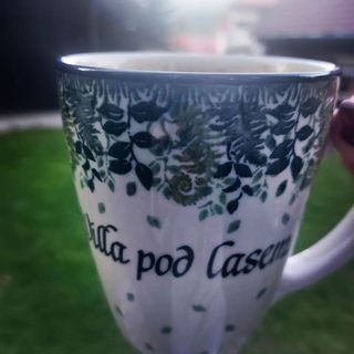 Willa Pod Lasem Szklarska Poręba (2)