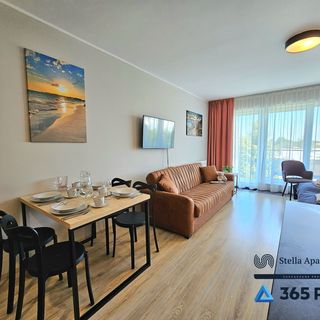 Studio Dominikana - Sianożęty - 365PAM (5)