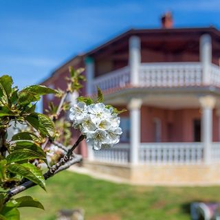 House Nikola Pula (5)