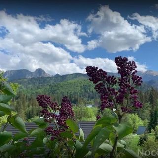 Dom Na Brzysku Kościelisko (3)