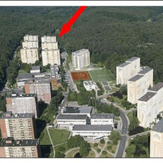 TylkoSopot - Słoneczne z balkonem i widokiem na las (4)