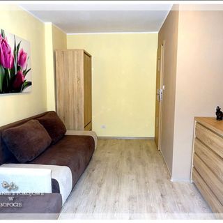 TylkoSopot - Apartament w pobliżu morza, cisza i spokój (3)