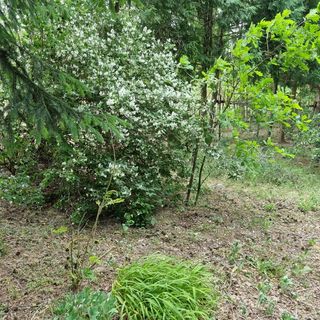 Ordashegyi Vendégház Pápateszér (5)