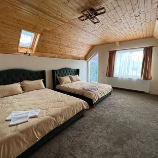 Cabana TRYhaus Chiuzbaia (4)