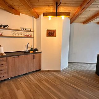 Cabana TRYhaus Chiuzbaia (3)