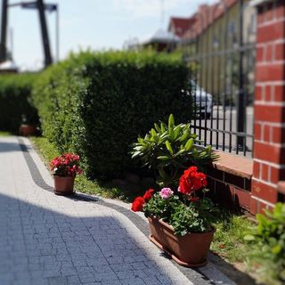 Pokoje Gościnne XAWIER Łeba (5)