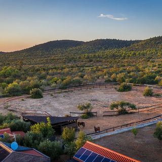 Villa Horse house Tisno (5)