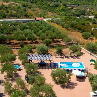 Villa Horse house Tisno (4)