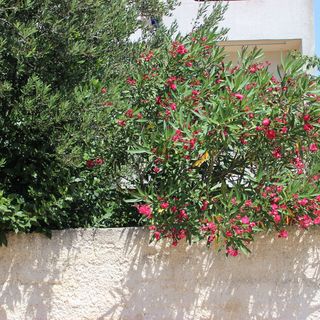 Apartment Kunce Medulin (5)