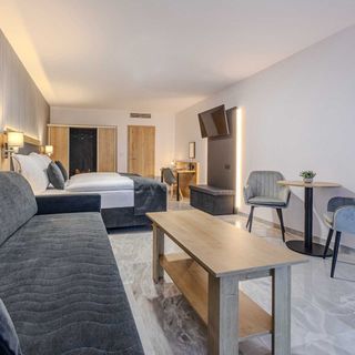 Hotel Tříška Brandýs nad Labem-Stará Boleslav (5)