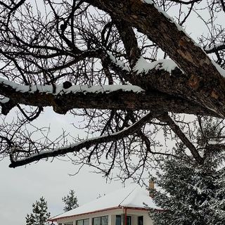 Casa de oaspeți Kavicsház Vlăhiţa (2)