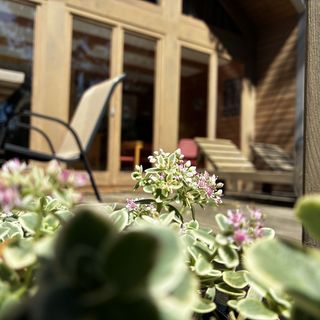 Pomale Vendégház Révfülöp (3)