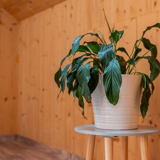 Golden Bridge Rooms (5)