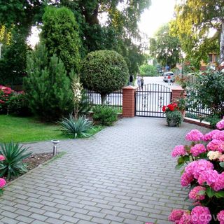 Dom Gościnny Eryk Krynica Morska (4)