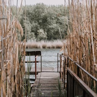 Alborella Vendégház Fadd (4)