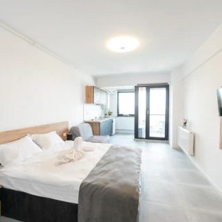 Serene Studios Eforie Nord (4)