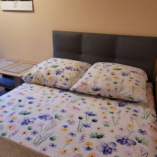 Pokój gościnny CENTRUM ELEKPRO Zakopane (5)