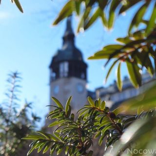 Apartament FeliNa Świeradów-Zdrój (5)