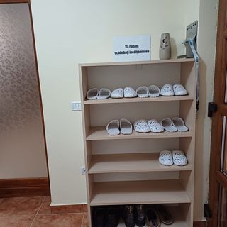 Casa Potcovarului Drăguș (2)