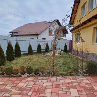 Casa Potcovarului Drăguș (3)