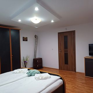 Casa Potcovarului Drăguș (5)