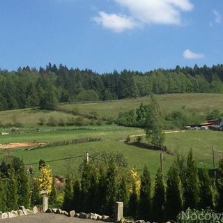 Laurowe Wzgórze Kudowa Zdrój (4)