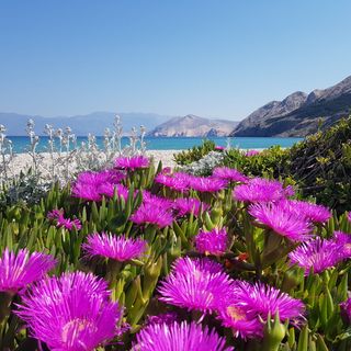 Apartmani Cugalj Baška (3)