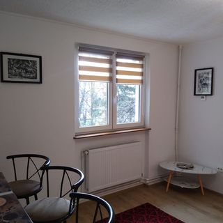 Apartament Center Sziget Odorheiu Secuiesc (4)